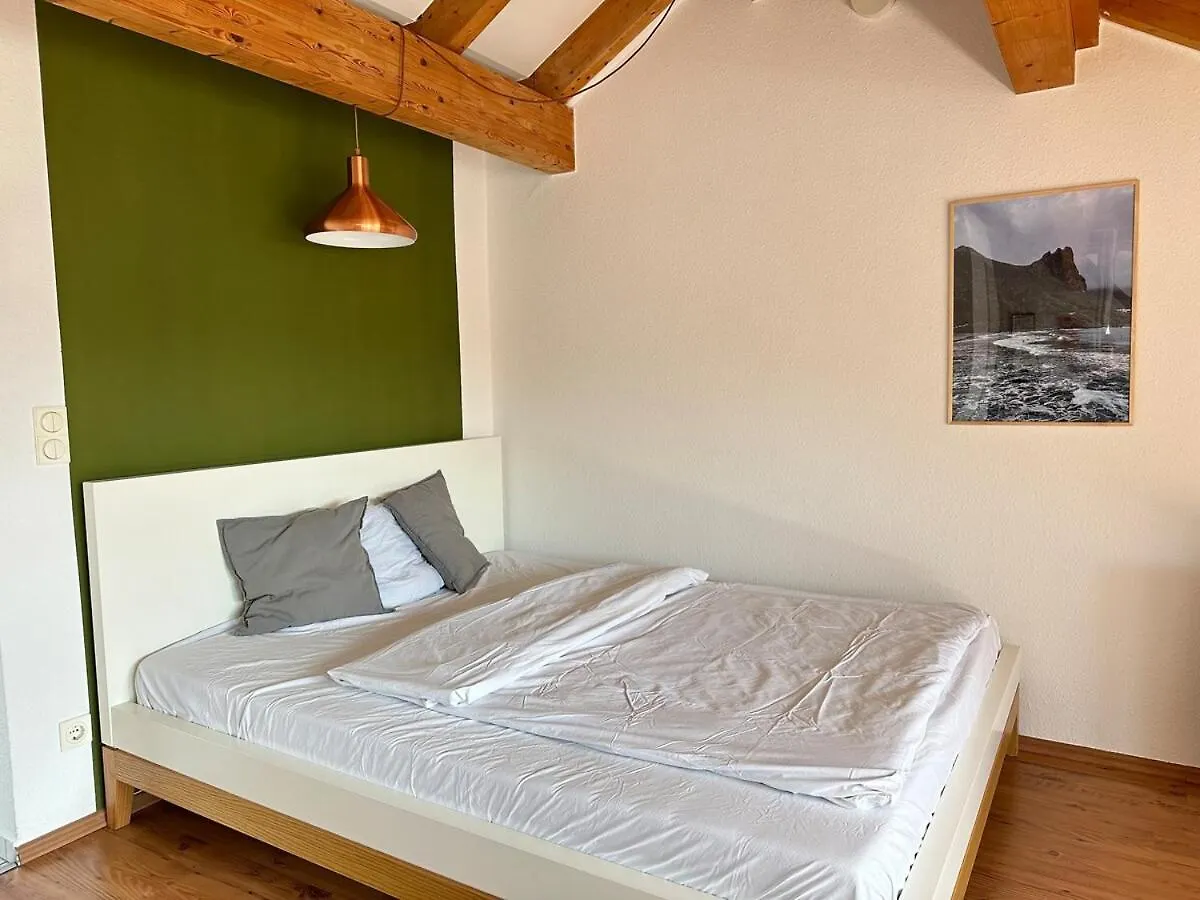 Cozy Loft With A View, Central, Close To Tradefair Ντίσελντορφ Διαμέρισμα